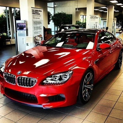 Александр Жигула