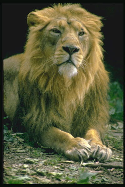 Сергей Рабинович