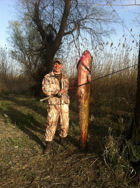 Сергей Дробышев