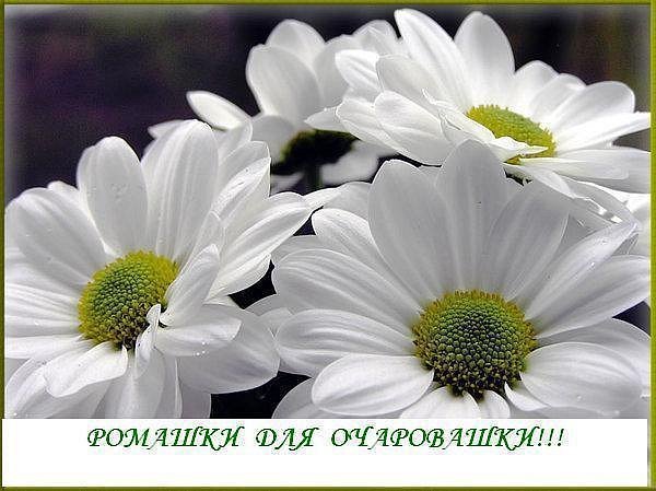 Наталья Зяблицева