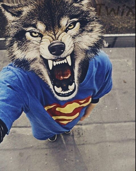 Снежана Эберляйн