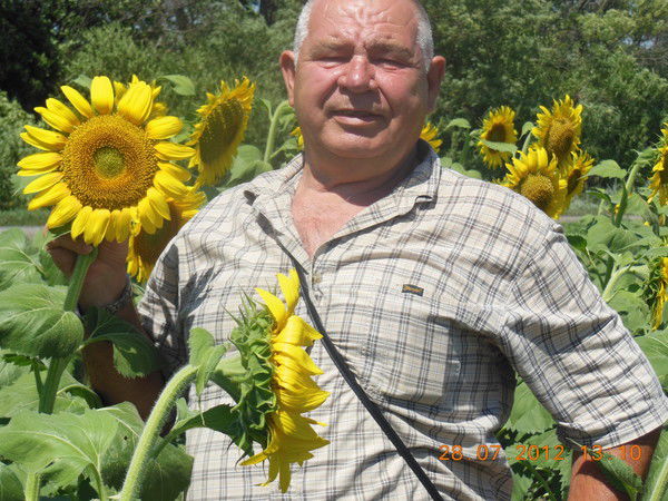 Георгий Дорофеев