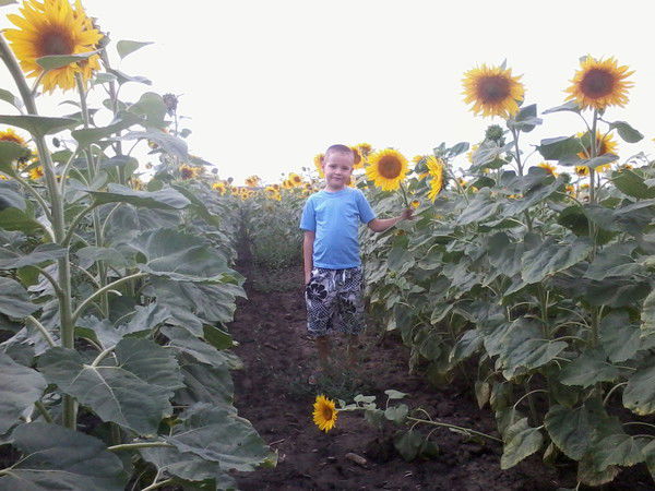 Серега Шабадаш