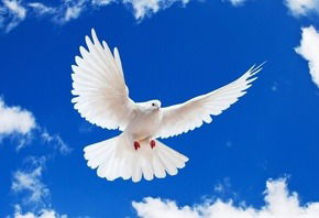 Марина Лабазова