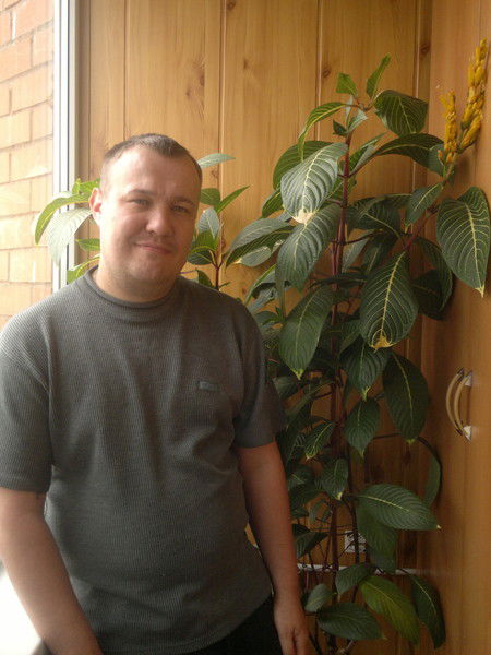 Дмитрий Земляков