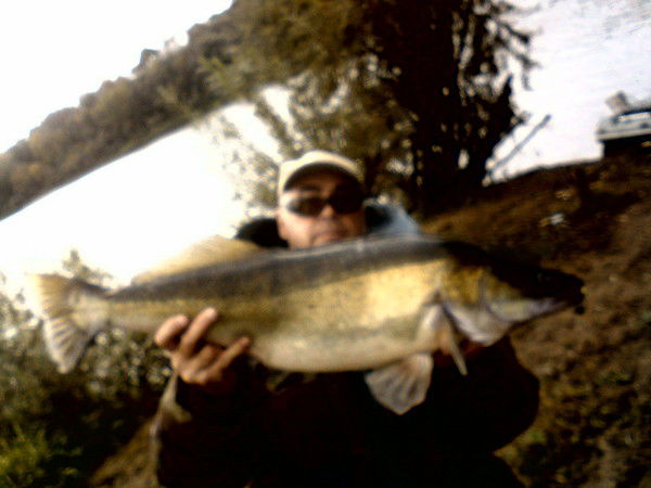 Валерий Назарук