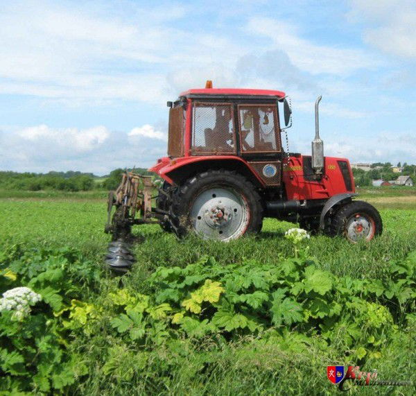 Юра Кастяневич