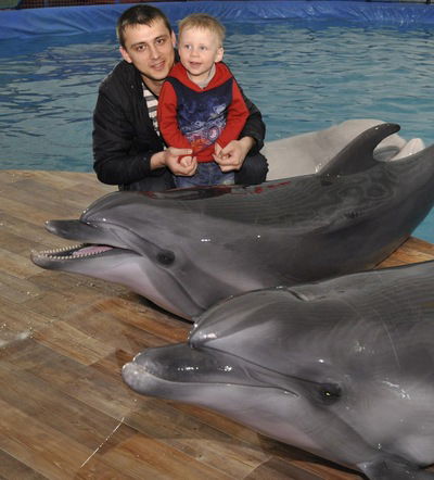 Денис Гоков