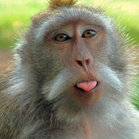 Ольга Воронова