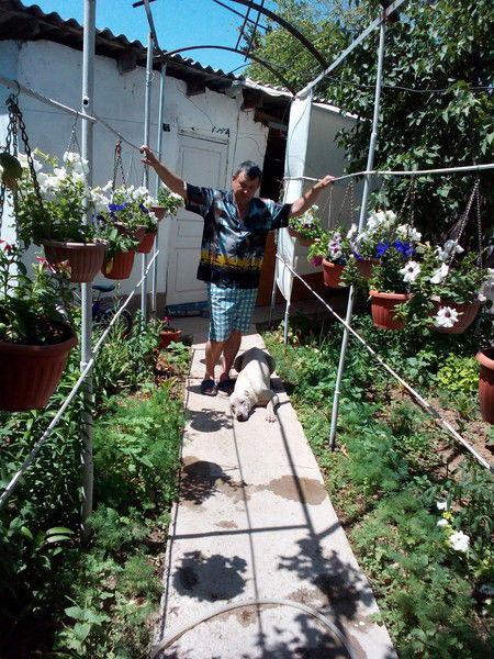 Николай Шевченко