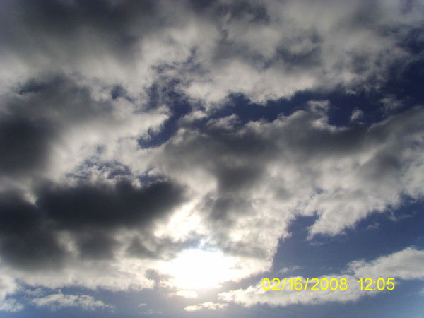 Андрей Андрусь