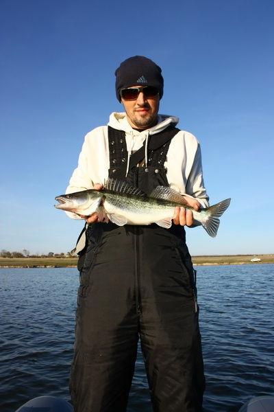 Виктор Юнкин