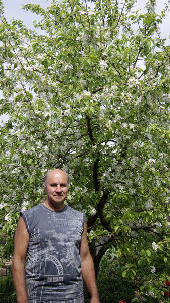 Владимир Кустов