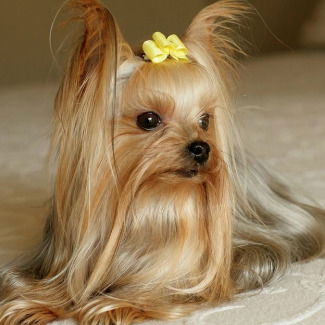 Лилия Садовкая