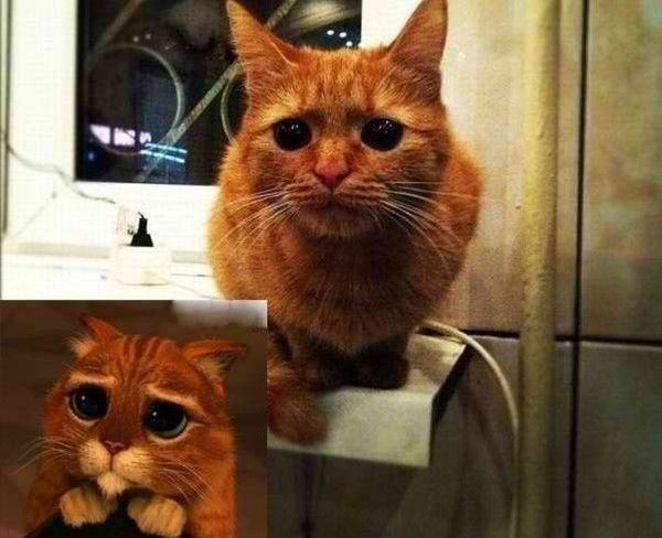 Вадим Грушас