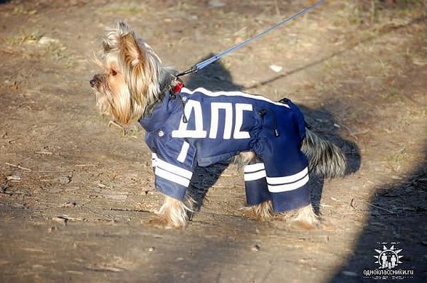 Юлия Кузнецова