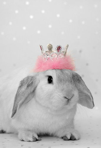 Ксюша Струихина