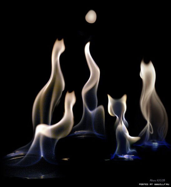 Борислав Веричев