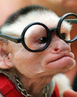 Вячеслав Олейник