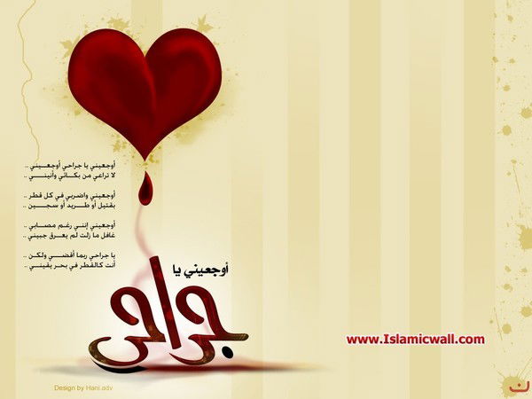 Наргиза Айбашова