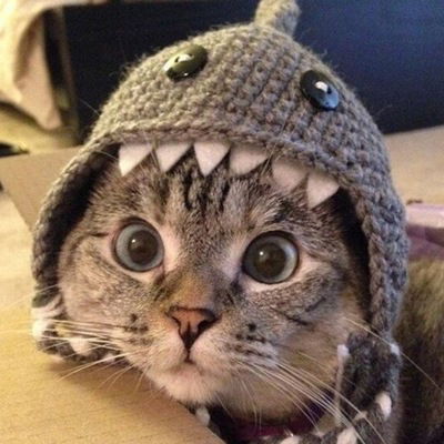 Костя Сахневич