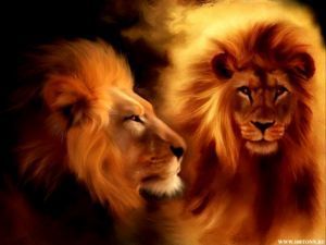 Вячеслав Чурилов