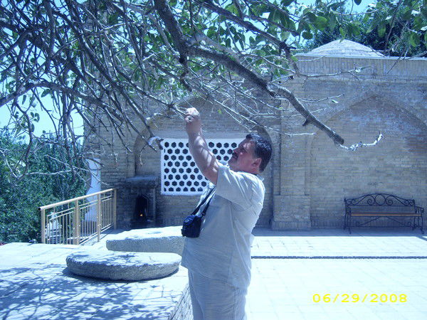 Геннадий Ляшенко