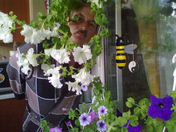 Ирина Богославская