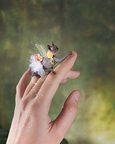 Марина Анцифрова