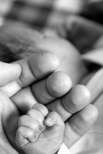 Александр Крылов