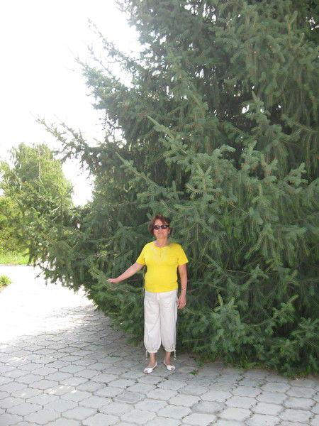 Халидам Зульфукарова