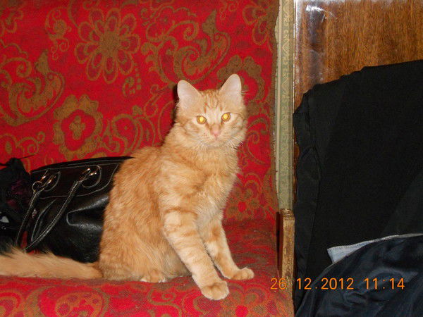 Виктор Смирнов