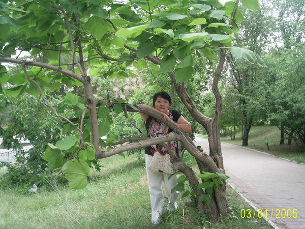 Карлыгаш Мейрембаева