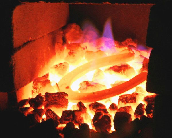 Елена Яковлевна