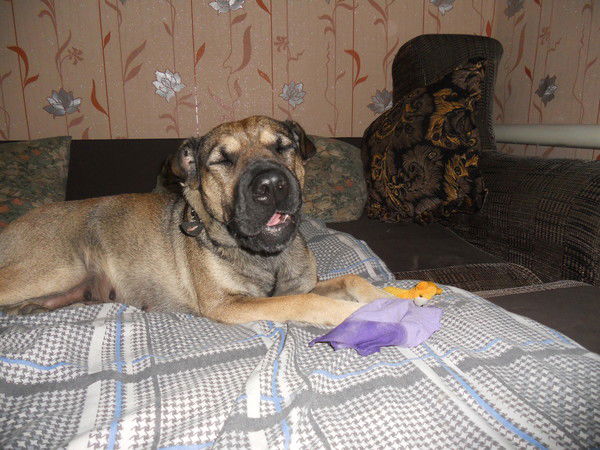 Сергей Хохленко