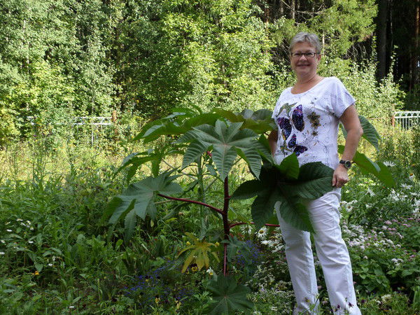 Надежда Борисовна