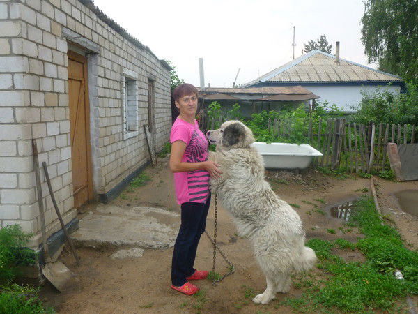 Елена Забеганова