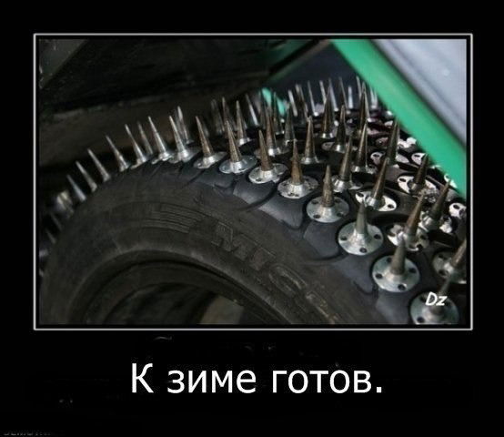 Александр Лежнюк