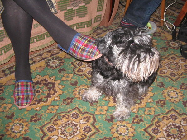 Наталья Добрынина