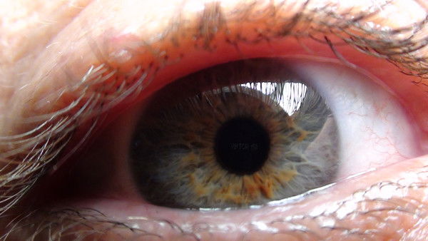 Виктор Сидаченко