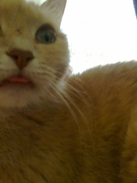 Ольга Королёва