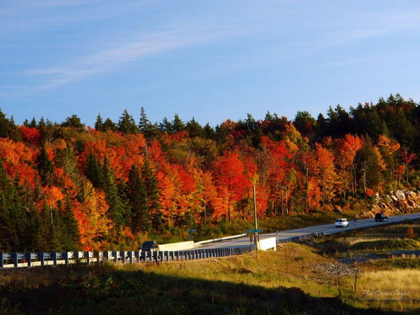 Игорь Коваленко