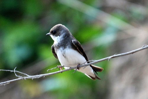 Карылгаш Клушева