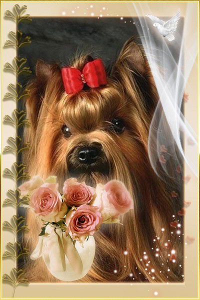 Елена Шеньшина