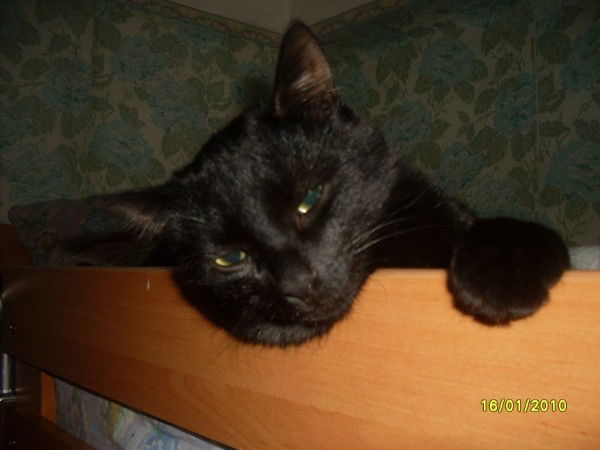 Наталья Смирнова