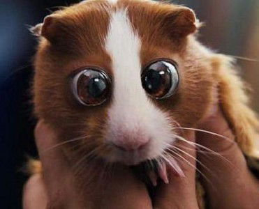 Ляззат Дюсембаева