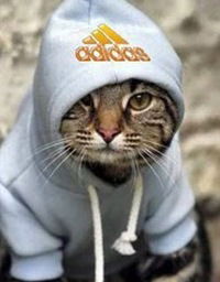 Антон Сопельников