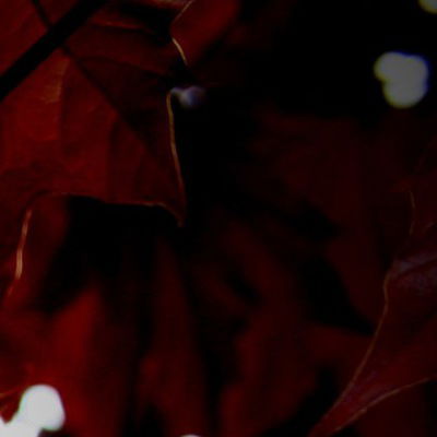 Нина Гвоздева