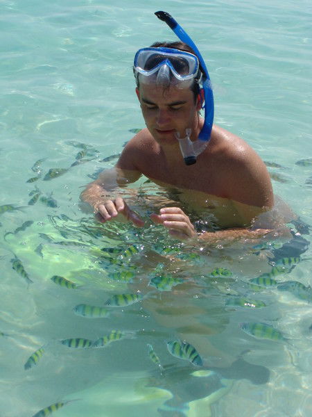 Алексей Котельников