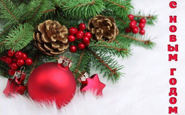 Александр Илюхин